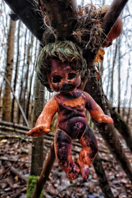 La Foresta delle Bambole
