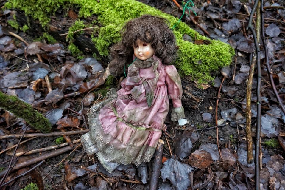 Puppen-Wald